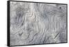 Drift wood pattern, Cape Onman, Chukchi Sea, Russia Far East-Keren Su-Framed Stretched Canvas