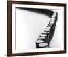 Drift Wood-Laura Warren-Framed Giclee Print