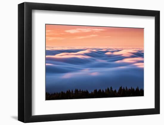 Drifting Above The Fog, Mount Tamalpais, San Francisco-Vincent James-Framed Photographic Print