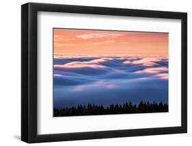 Drifting Above The Fog, Mount Tamalpais, San Francisco-Vincent James-Framed Photographic Print