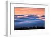 Drifting Above The Fog, Mount Tamalpais, San Francisco-Vincent James-Framed Photographic Print