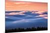 Drifting Above The Fog, Mount Tamalpais, San Francisco-Vincent James-Mounted Photographic Print