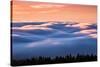 Drifting Above The Fog, Mount Tamalpais, San Francisco-Vincent James-Stretched Canvas