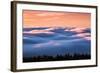 Drifting Above The Fog, Mount Tamalpais, San Francisco-Vincent James-Framed Photographic Print