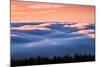 Drifting Above The Fog, Mount Tamalpais, San Francisco-Vincent James-Mounted Photographic Print