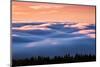 Drifting Above The Fog, Mount Tamalpais, San Francisco-Vincent James-Mounted Premium Photographic Print