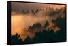 Drifting Fog and Mood Mount Tamalpais, Marin County, San Francisco-Vincent James-Framed Stretched Canvas