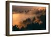 Drifting Fog and Mood Mount Tamalpais, Marin County, San Francisco-Vincent James-Framed Photographic Print