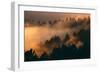 Drifting Fog and Mood Mount Tamalpais, Marin County, San Francisco-Vincent James-Framed Photographic Print