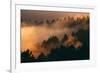 Drifting Fog and Mood Mount Tamalpais, Marin County, San Francisco-Vincent James-Framed Photographic Print