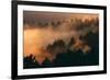 Drifting Fog and Mood Mount Tamalpais, Marin County, San Francisco-Vincent James-Framed Photographic Print