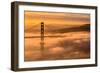 Drifting In, Sunrise Fog Envelopes Golden Gate Bridge, San Francisco-Vincent James-Framed Photographic Print