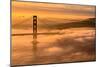 Drifting In, Sunrise Fog Envelopes Golden Gate Bridge, San Francisco-Vincent James-Mounted Photographic Print
