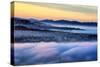 Drifting Morning Fog Over Sea Cliff, Sunset and Richmond San Francisco-Vincent James-Stretched Canvas