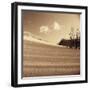 Drifting Sands III-Jo Crowther-Framed Art Print