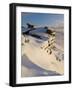 Drifting Snow on White Tor, Derwent Moor, Peak District National Park, Derbyshire, England-Neale Clark-Framed Photographic Print