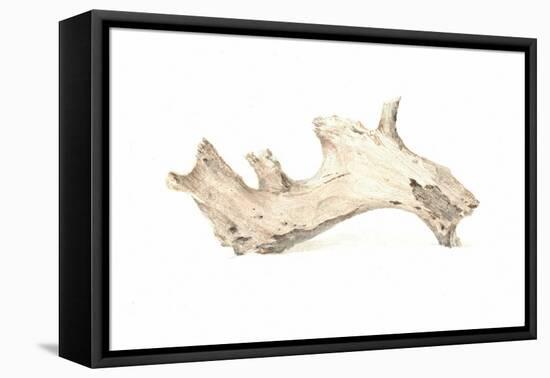 Driftwood, 2015-Lincoln Seligman-Framed Stretched Canvas