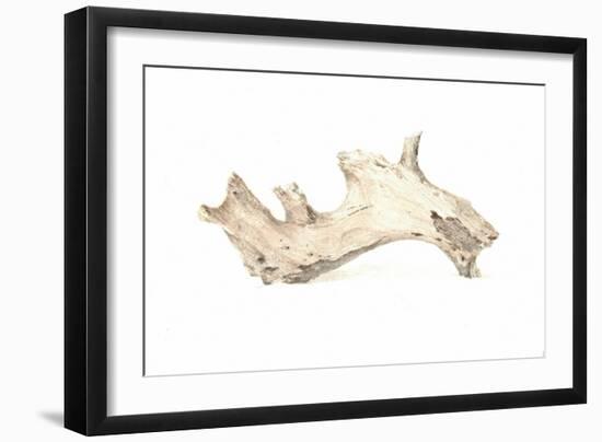 Driftwood, 2015-Lincoln Seligman-Framed Giclee Print