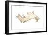 Driftwood, 2015-Lincoln Seligman-Framed Giclee Print