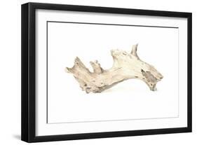 Driftwood, 2015-Lincoln Seligman-Framed Giclee Print