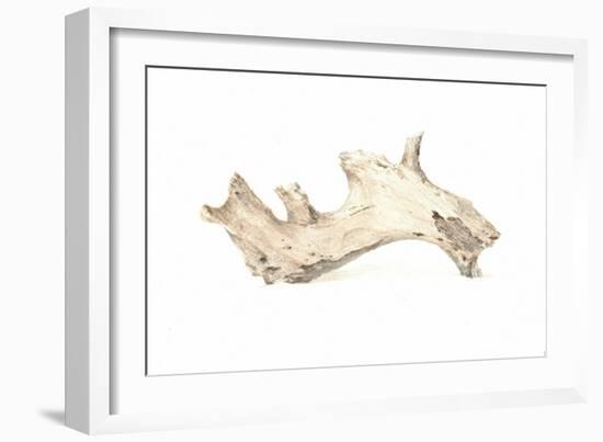 Driftwood, 2015-Lincoln Seligman-Framed Giclee Print