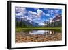 Driftwood and Pond, Saint Mary Lake, Glacier National Park, Montana-Russ Bishop-Framed Photographic Print