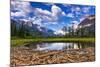 Driftwood and Pond, Saint Mary Lake, Glacier National Park, Montana-Russ Bishop-Mounted Photographic Print