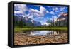 Driftwood and Pond, Saint Mary Lake, Glacier National Park, Montana-Russ Bishop-Framed Stretched Canvas