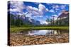 Driftwood and Pond, Saint Mary Lake, Glacier National Park, Montana-Russ Bishop-Stretched Canvas