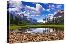 Driftwood and Pond, Saint Mary Lake, Glacier National Park, Montana-Russ Bishop-Stretched Canvas