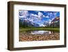 Driftwood and Pond, Saint Mary Lake, Glacier National Park, Montana-Russ Bishop-Framed Photographic Print