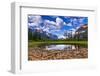 Driftwood and Pond, Saint Mary Lake, Glacier National Park, Montana-Russ Bishop-Framed Photographic Print