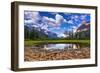 Driftwood and Pond, Saint Mary Lake, Glacier National Park, Montana-Russ Bishop-Framed Photographic Print