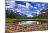 Driftwood and Pond, Saint Mary Lake, Glacier National Park, Montana-Russ Bishop-Mounted Photographic Print