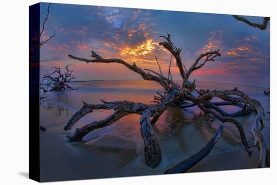 Driftwood and Sunset-Lantern Press-Stretched Canvas