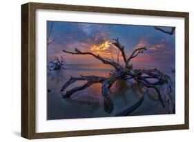 Driftwood and Sunset-Lantern Press-Framed Art Print
