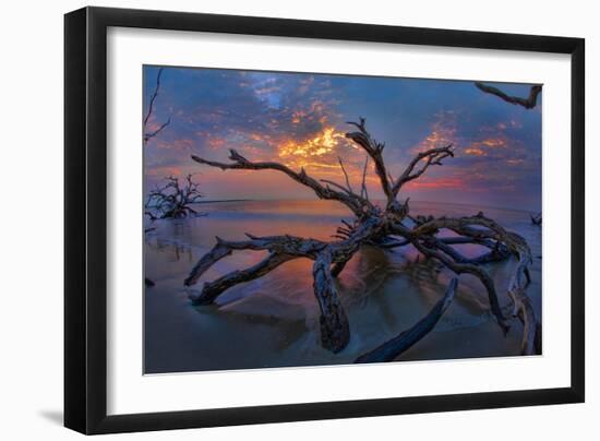 Driftwood and Sunset-Lantern Press-Framed Art Print