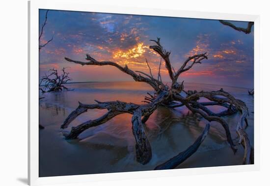 Driftwood and Sunset-Lantern Press-Framed Art Print