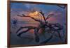 Driftwood and Sunset-Lantern Press-Framed Art Print