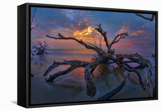 Driftwood and Sunset-Lantern Press-Framed Stretched Canvas