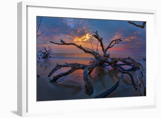 Driftwood and Sunset-Lantern Press-Framed Art Print