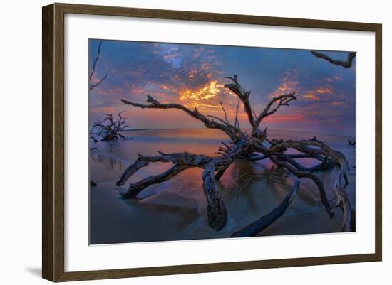Driftwood and Sunset-Lantern Press-Framed Art Print