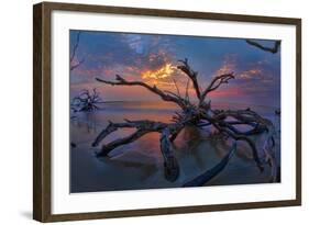 Driftwood and Sunset-Lantern Press-Framed Art Print