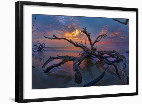 Driftwood and Sunset-Lantern Press-Framed Art Print