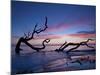 Driftwood Beach-PHBurchett-Mounted Photographic Print