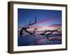 Driftwood Beach-PHBurchett-Framed Photographic Print