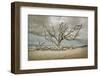 Driftwood Beach-Barbara Simmons-Framed Photographic Print