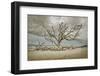 Driftwood Beach-Barbara Simmons-Framed Photographic Print