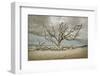 Driftwood Beach-Barbara Simmons-Framed Photographic Print