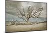 Driftwood Beach-Barbara Simmons-Mounted Photographic Print